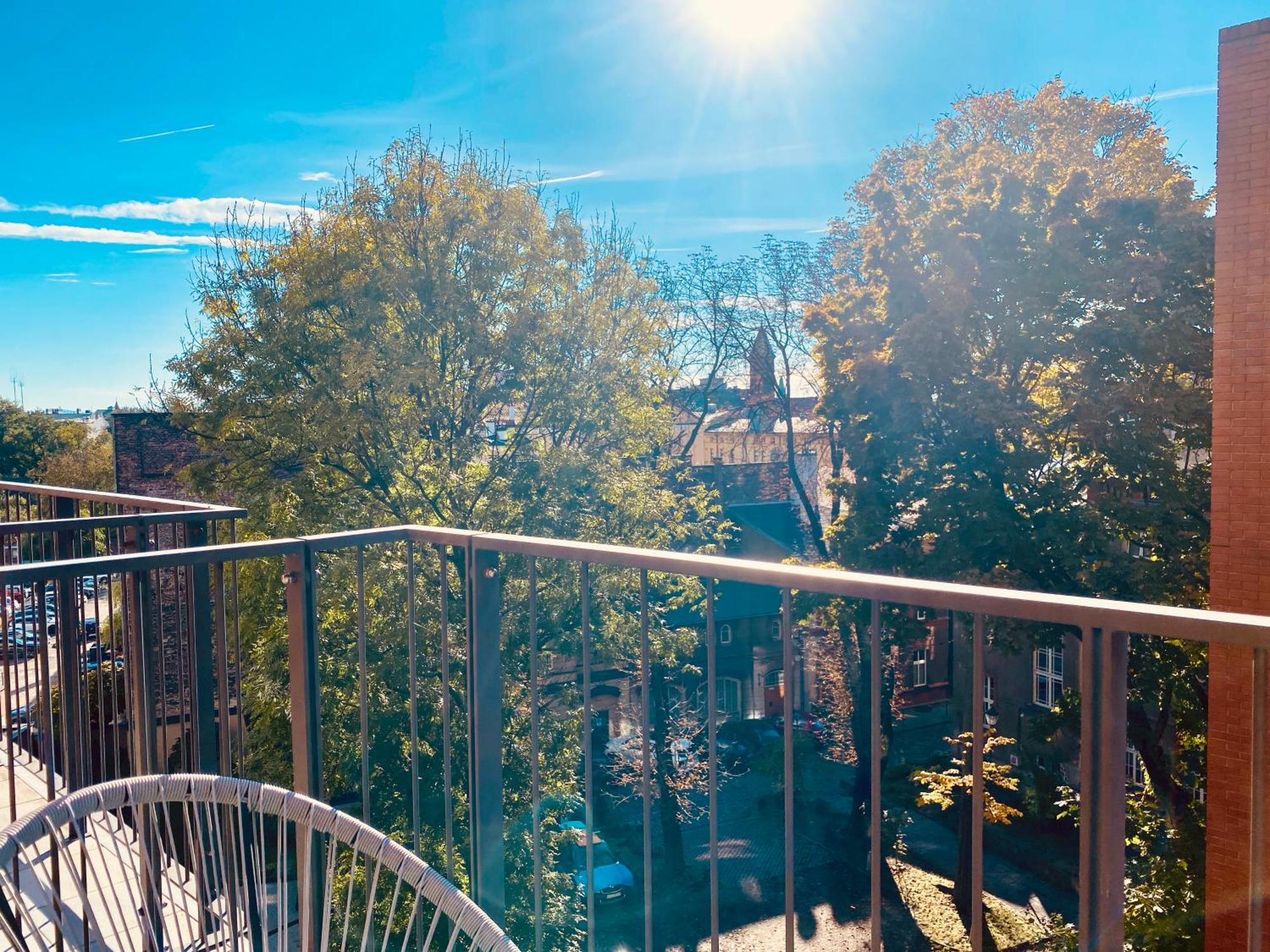 Angel Mint Apartment - Free Parking - Balcony 克拉科夫 客房 照片